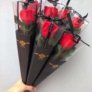 Hộp 1 Bông Mika
